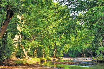 The Kumbukkan Oya in the Yala National Park