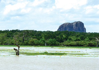 The Akasa Chaitya/Elephant Rock in the heartland of the Yala Plains in Block I