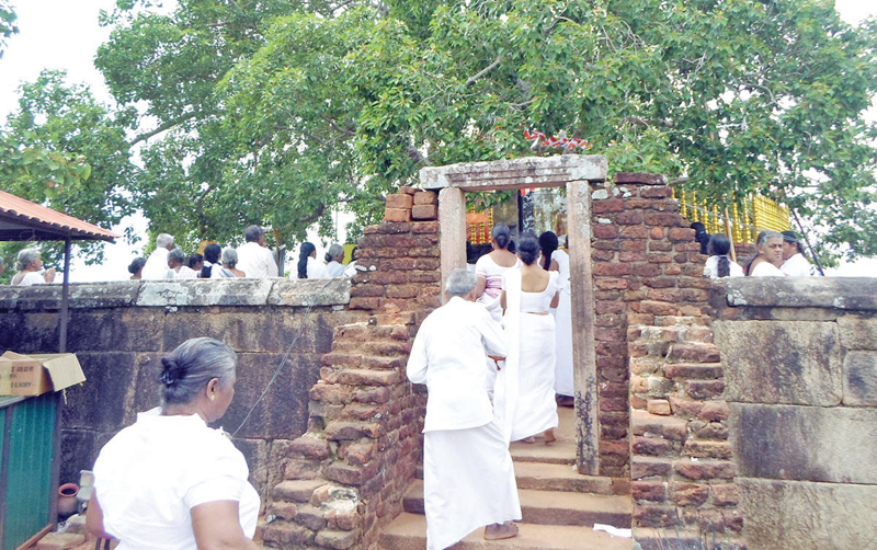 Ashtapala Bodhiya
