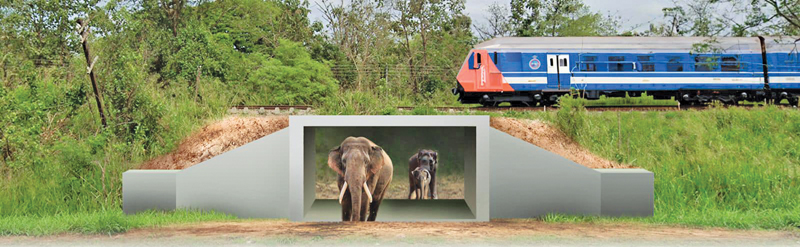 An artist’s impression of elephants using the tunnel to cross the track.