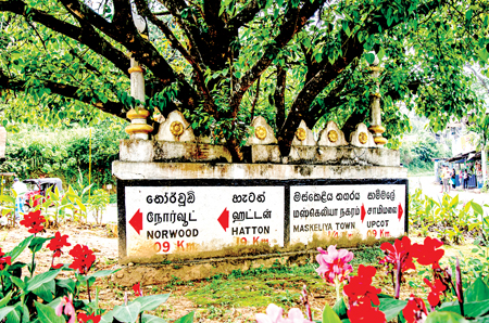 A road marker indicates the distance to the nearest towns from Maskeliya