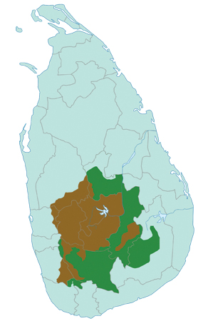 Coffee growing districts in
Sri Lanka