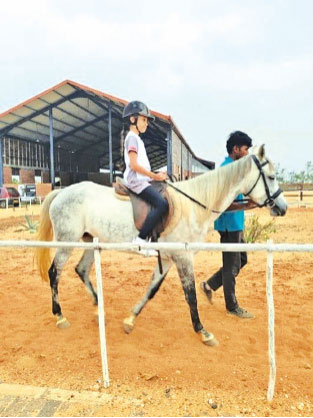 All riders had access to proper equipment and trained handlers