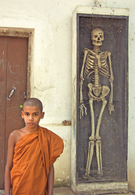 Most ancient hermitages have a real human skeleton placed in caves or a specially built structure for bhikkhus to practise mediation. This Samanera bhikkhu stands close to the skeleton at the Mawaragala forest hermitage in Dambana, Mahiyanganaya