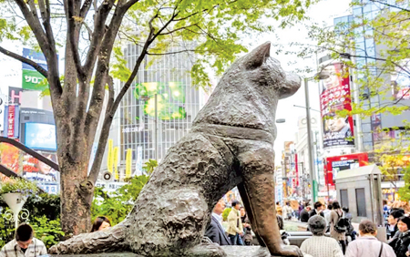 A statue of Hachiko has stood outside Shibuya station in Tokyo since 1948