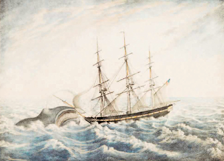 Coloured lithograph by Cyprien Gaulon - the earliest picture of the Nantucket Whaleship ‘Essex’