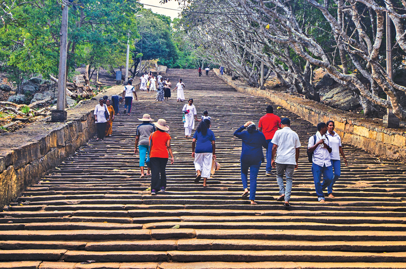 The staircase fringed by ‘Araliya’ trees evokes a sense of spirituality