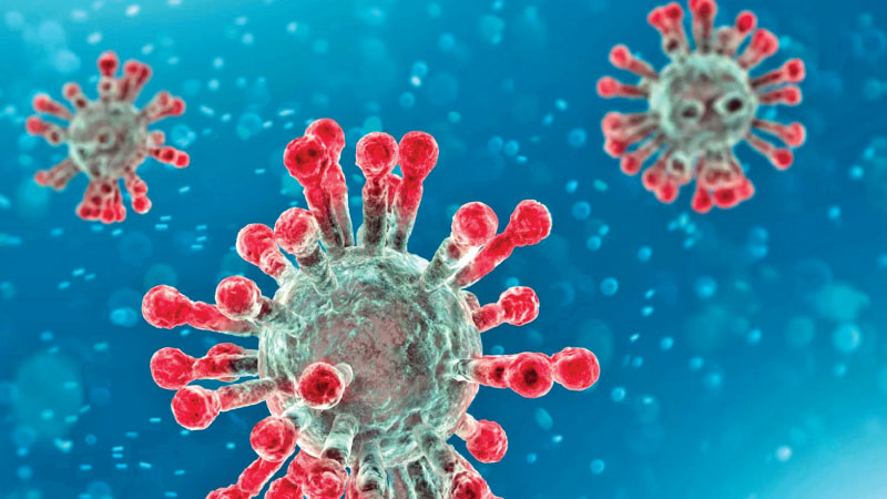 No need to panic over Covid-19 variants-Health Ministry
