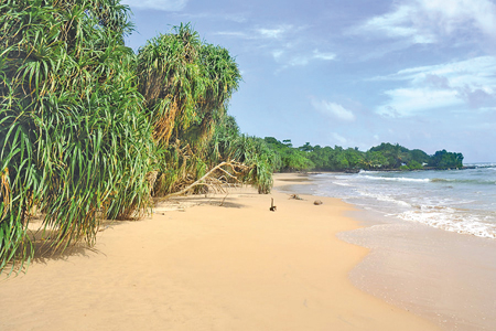 Kalpitiya