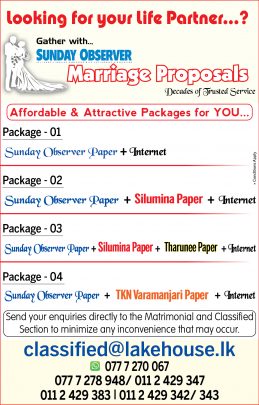 SUO Marrige Packeage Details - 15x3